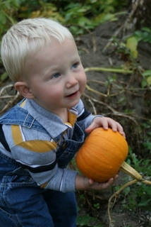 Baby_pie_pumpkin