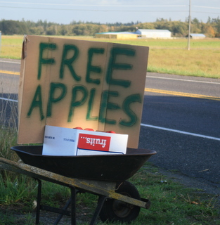 Free_apples