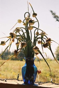 Garlic Scape Bouquet