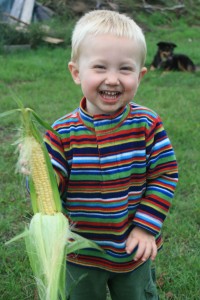 Yes! It is possible to grow corn in the Pacific Northwest!