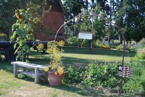 Local farmstand