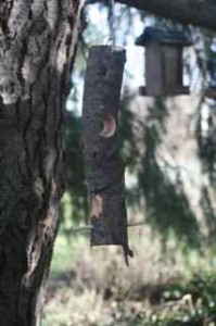 Hanging log bird feeder