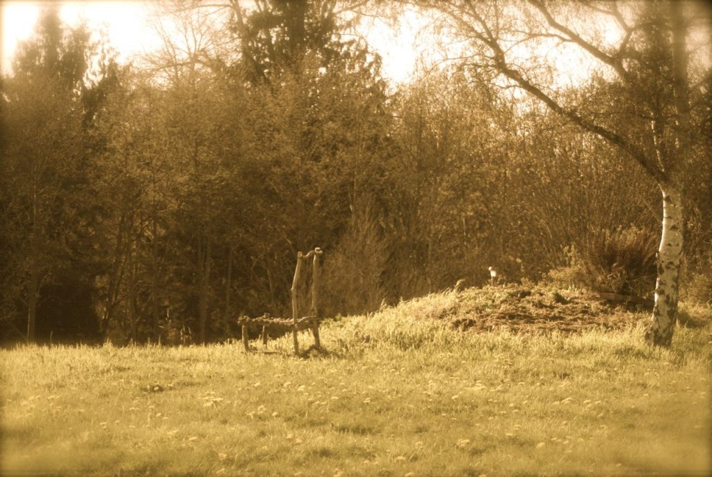 The living chair sits in what someday will be a memorial garden and sanctuary.