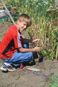 Many thanks to my nephew for helping with the harvest.