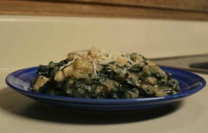 Serving of Chicken-Kale-Cauliflower casserole