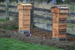 Warre Hives