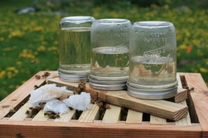 Syrup jars on Warre Hive