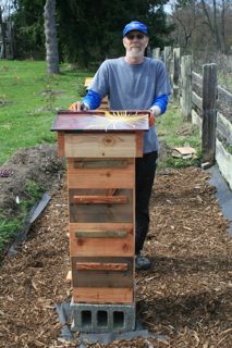 Jeff Ward, Hive Builder