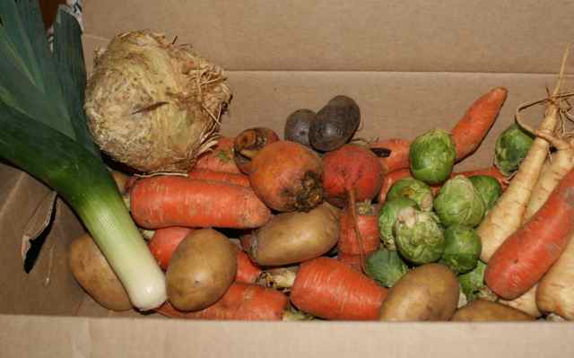 Participating in a Farm Share / Community Supported Ag program really gets you into the habit of eating with the seasons. This fall-time box was full of all kinds of roots -