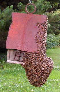 Bee swarm on a birdhouse