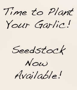 Garlic Sign