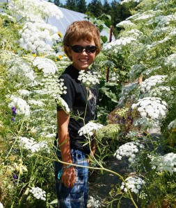 Hiding in the flowers