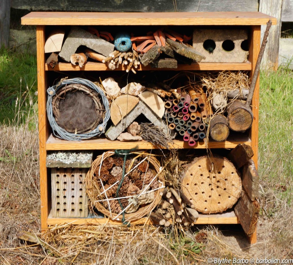 Insect Hotel