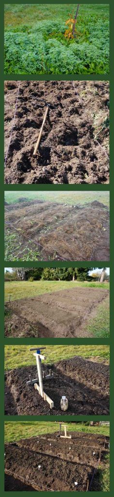 Garlic Bed Prep & Plant