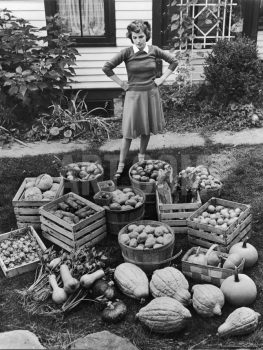 Woman looking at victory garden harvest