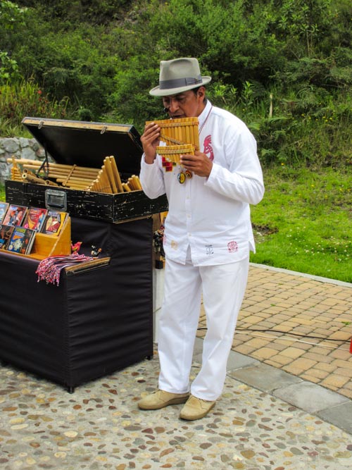 Pan Flute Musician