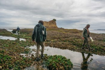 Freshwater Bay Seaweed Foragers