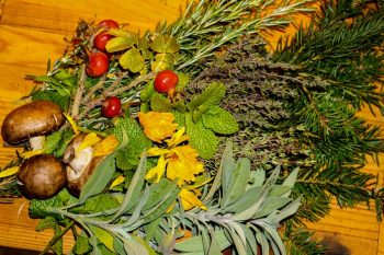 Herbs of November