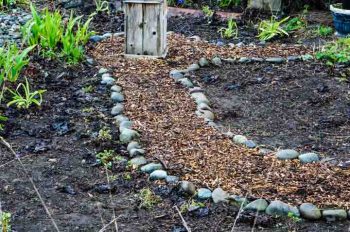 Side Garden Restoration