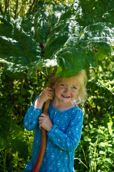 Rhubarb umbrella and kid