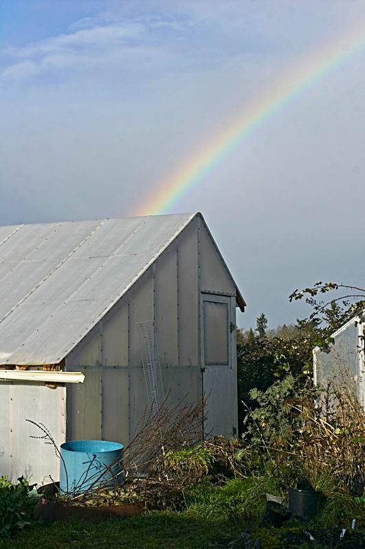 rainbow on greenhouse
