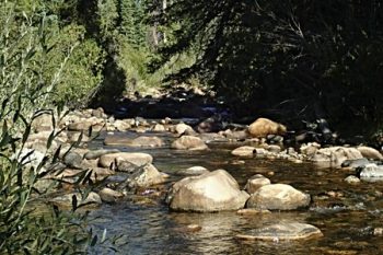 Stream near camp