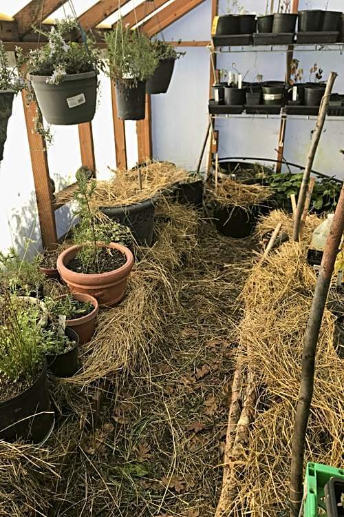 Access path in greenhouse