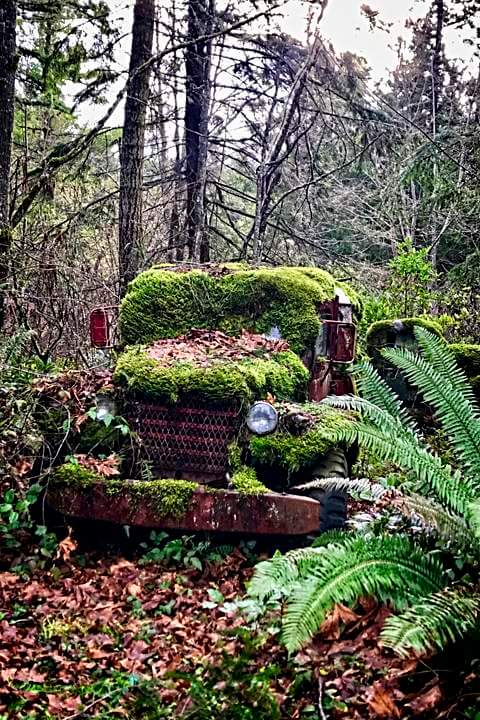 Mossy truck-PNW style