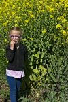 Brassica Flowers grow tall and are tasty!