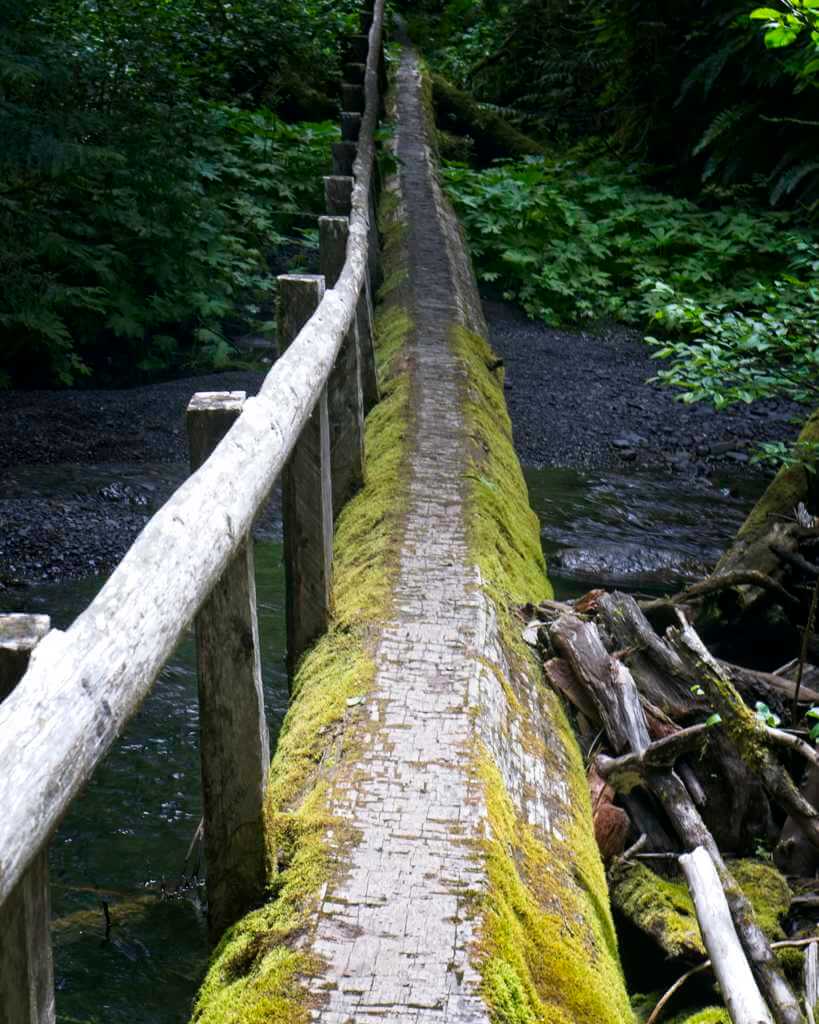 Log bridge