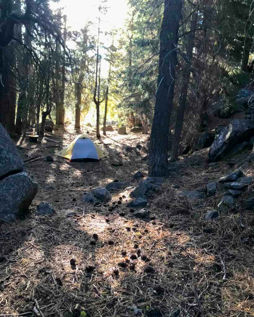 Tent camping in Oregon forest