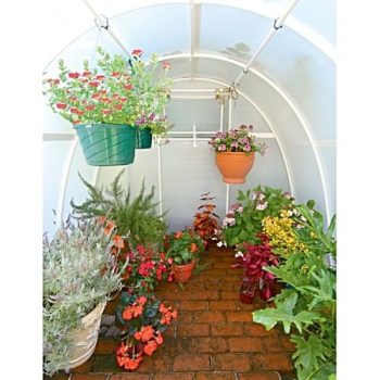 Early Bloomer Solexx greenhouse - inside view