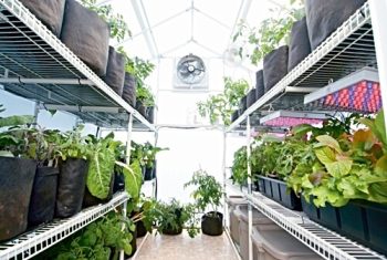Solexx Garden Master greenhouse, inside full of pots