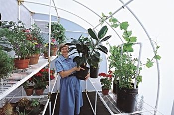 Inside of Solexx Harvester greenhouse