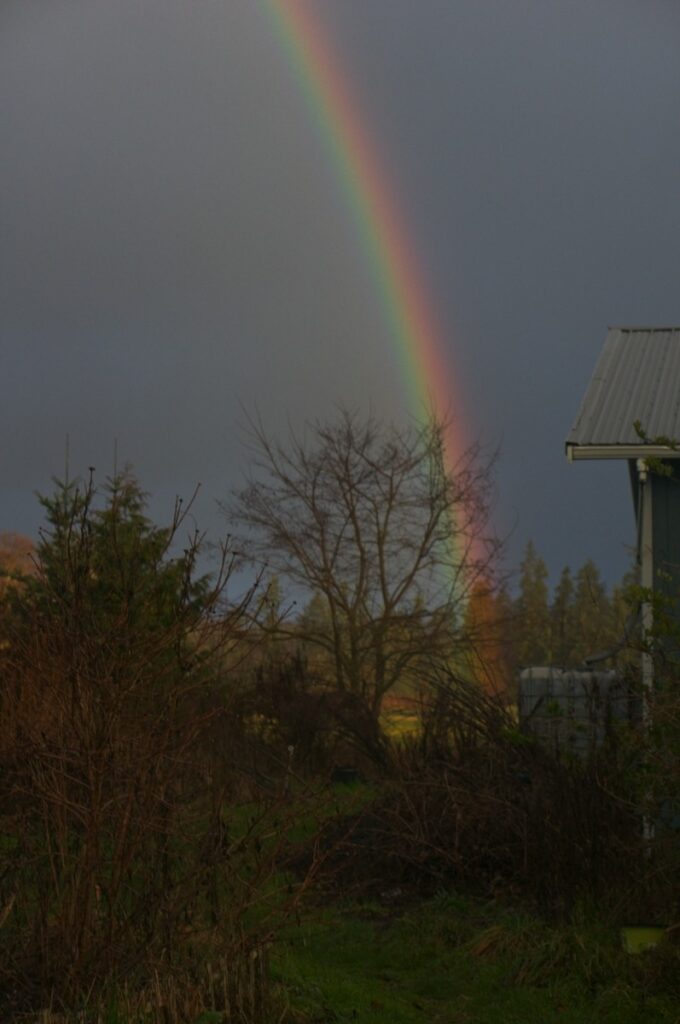 Rainbow, January, Barbolian Fields