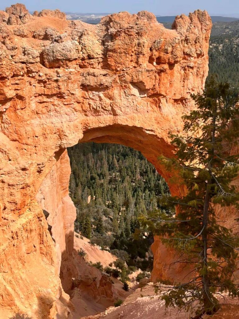 Bryce Canyon rock archway