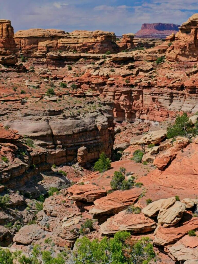 Zig-zag canyon in Canyonlands, UT