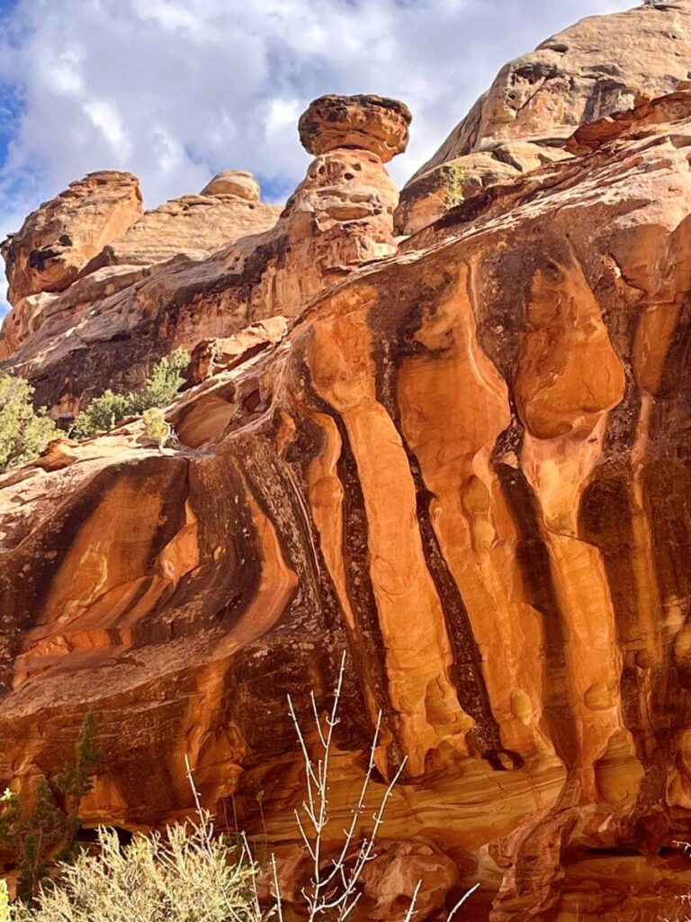 Capitol Reef Rock patterns