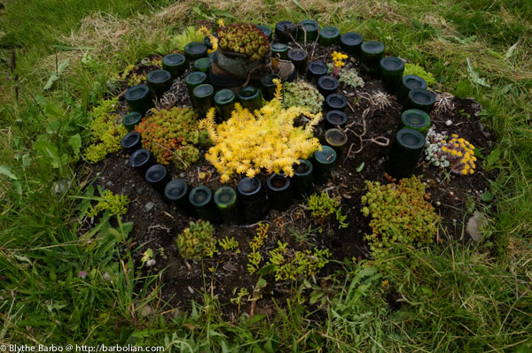 Sedum Spiral garden with bottles
