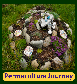 Portal to all things Permaculture: My project for earning my PDC. Lots of information and links.