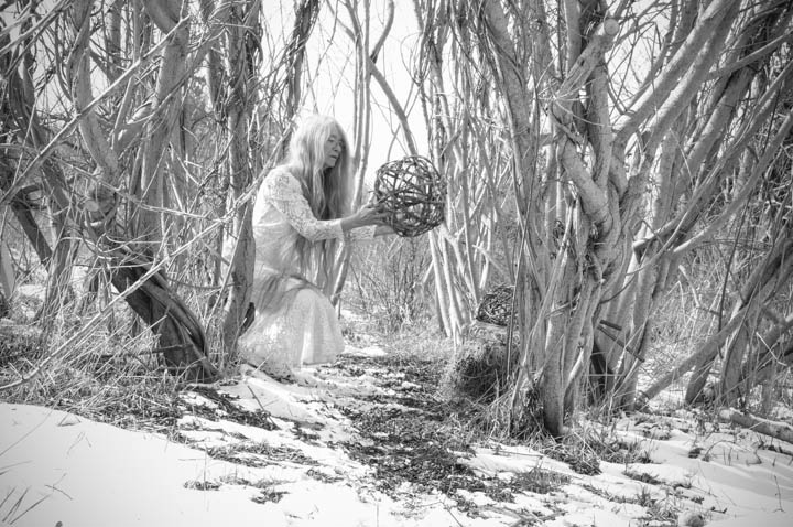 Willow Ball in Winterland