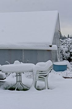 Winter Greenhouse under snow