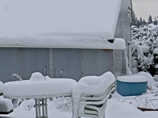 Winter Greenhouse under snow