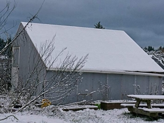 January snow_winter greenhouse