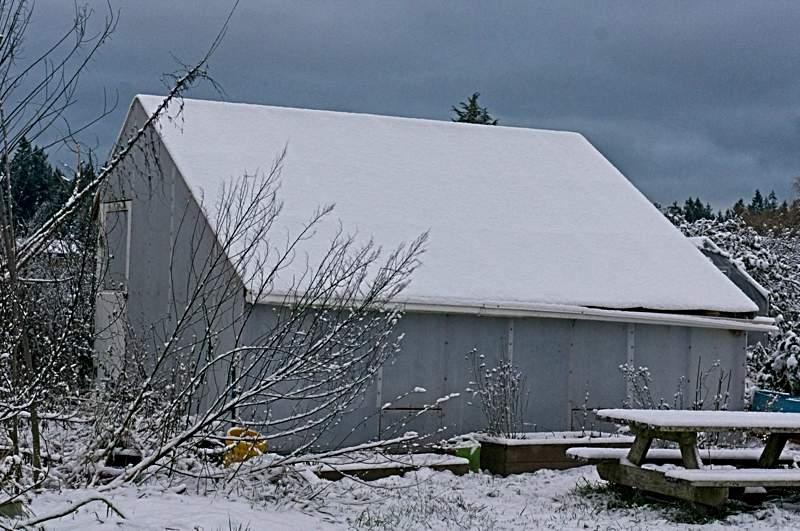 January snow_winter greenhouse