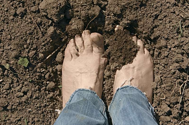 Barefoot in the garden