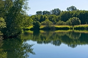 Quiet Lake_Montana