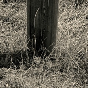Unamed Grave_Shoshone, WY