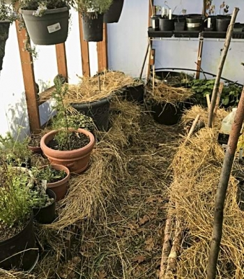 Access path in greenhouse Access path in greenhouse