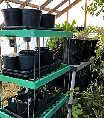 Pots on shelves Pots on shelves: take advantage of space